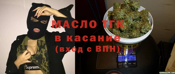 индика Переславль-Залесский