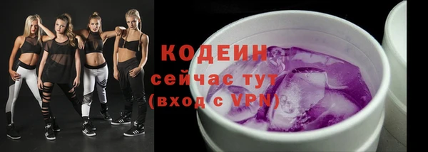 индика Переславль-Залесский