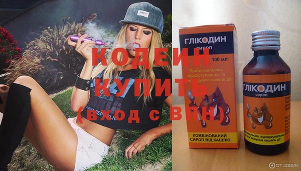 амф Пестово