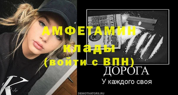 амф Пестово