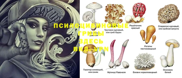 амф Пестово