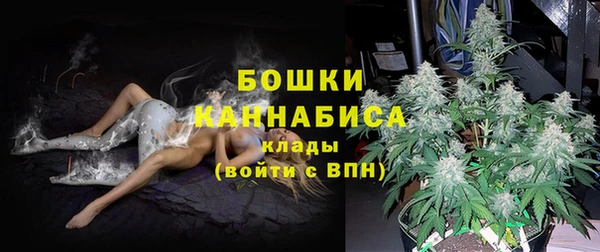 индика Переславль-Залесский