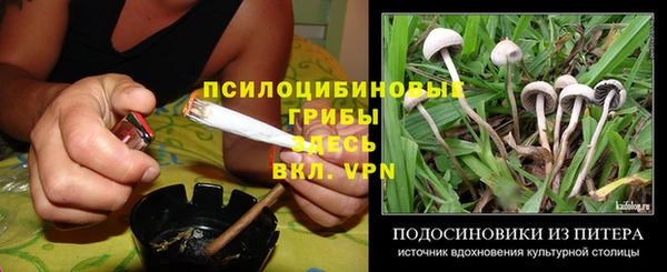 индика Переславль-Залесский