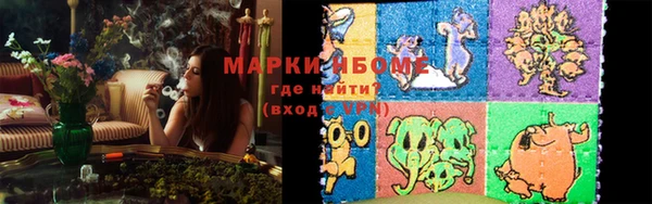 индика Переславль-Залесский