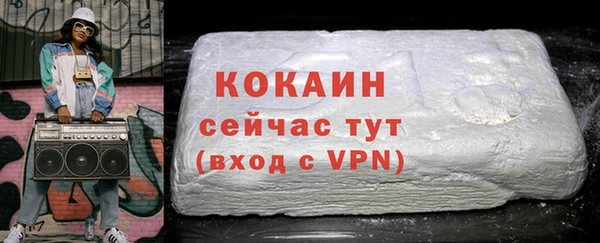 амф Пестово