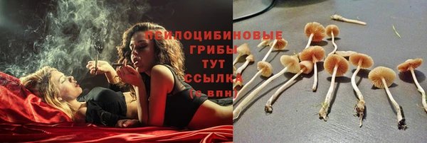 амф Пестово