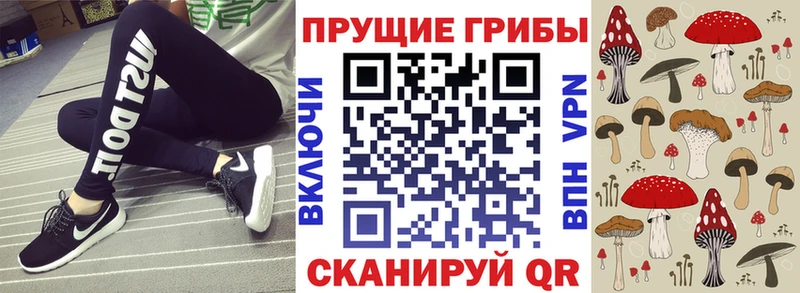 Галлюциногенные грибы мицелий Тара